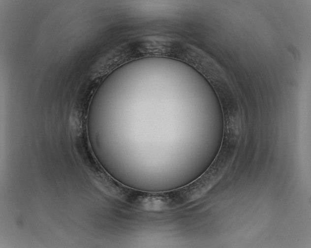 X0000112500751200908171309