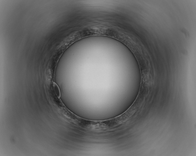 X0000112500752200908171309