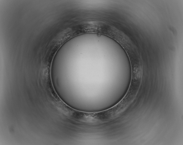 X0000112500753200908171309