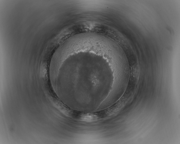 X0000112500754200908171309