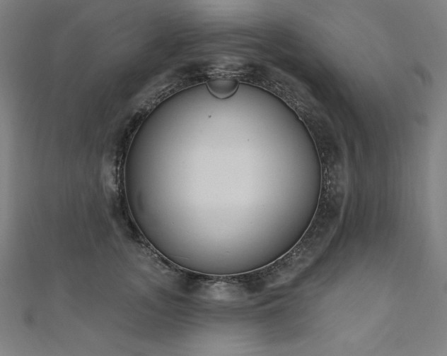 X0000112500755200908171309