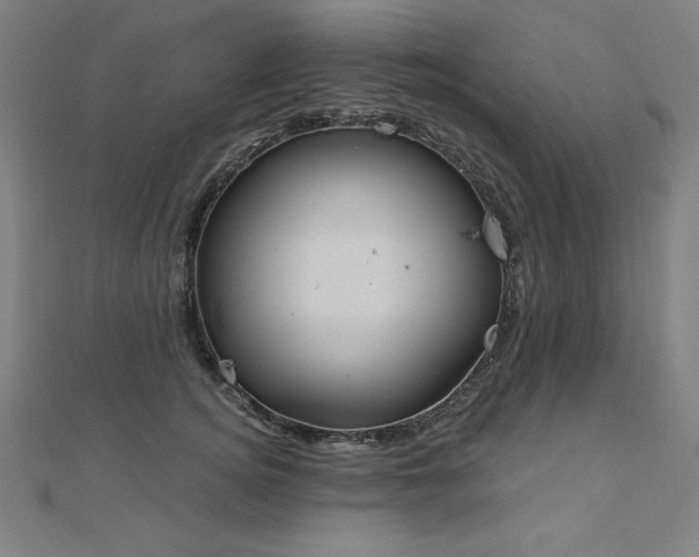 X0000112500756200908171309