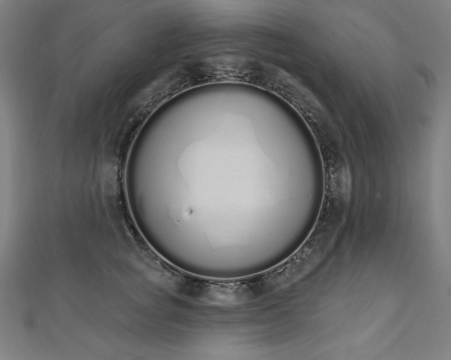 X0000112500757200908171309