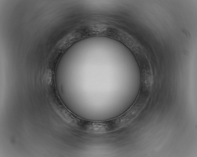 X0000112500758200908171309