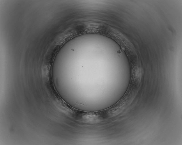 X0000112500759200908171309