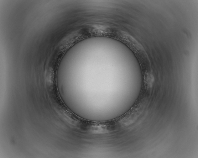 X0000112500760200908171309