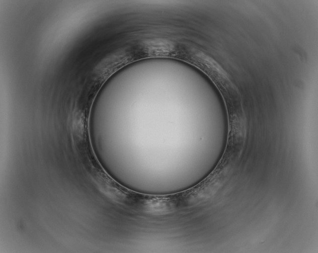 X0000112500761200908171309