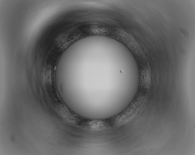 X0000112500762200908171309