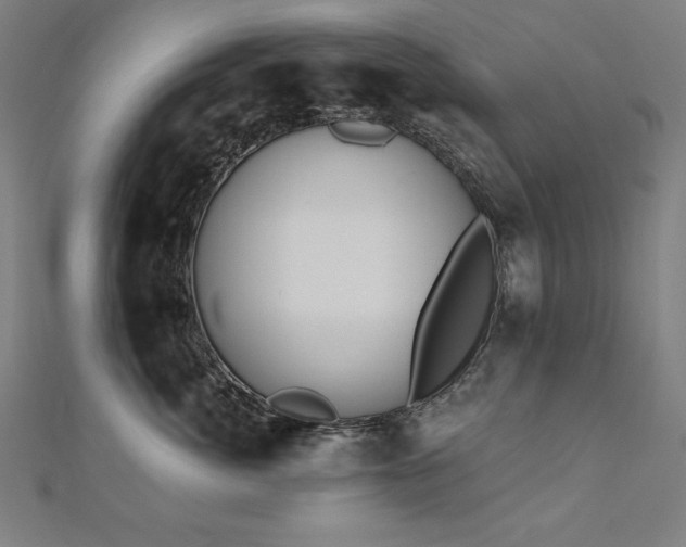 X0000112500764200908171309