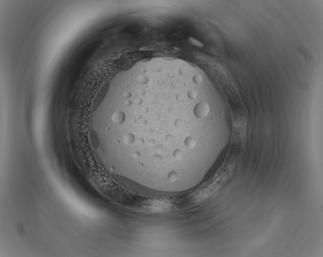 X0000112500765200908171309