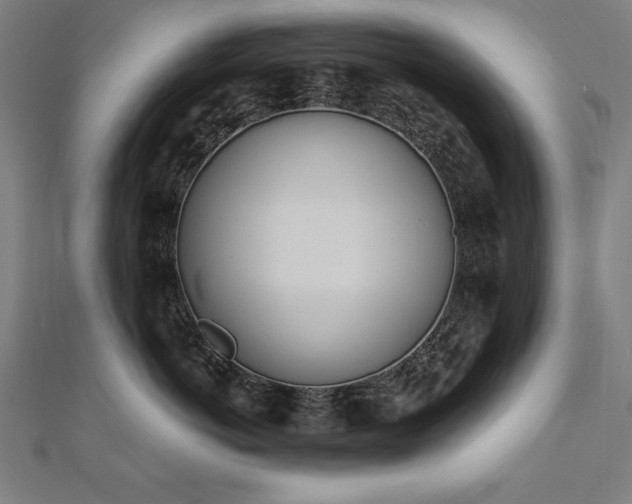 X0000112500766200908171309