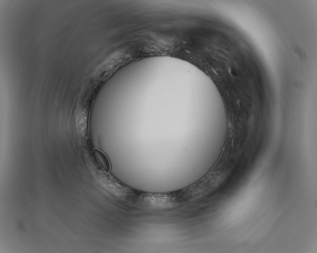 X0000112500767200908171309