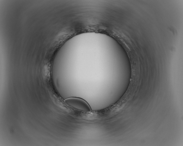 X0000112500768200908171309