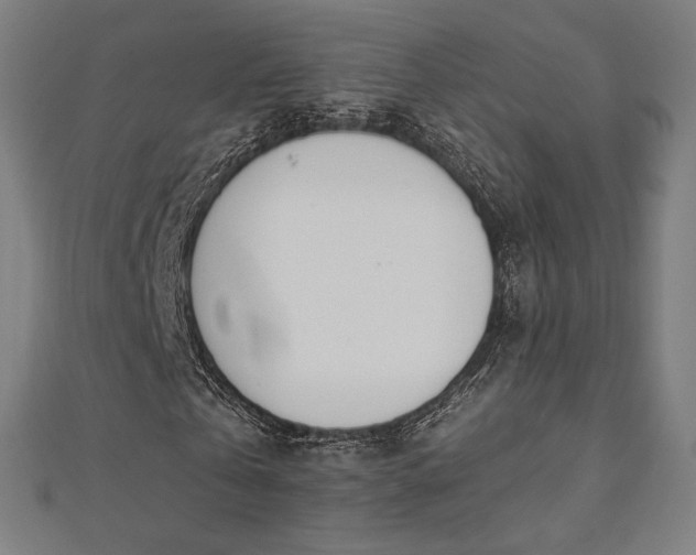 X0000112500769200908171308