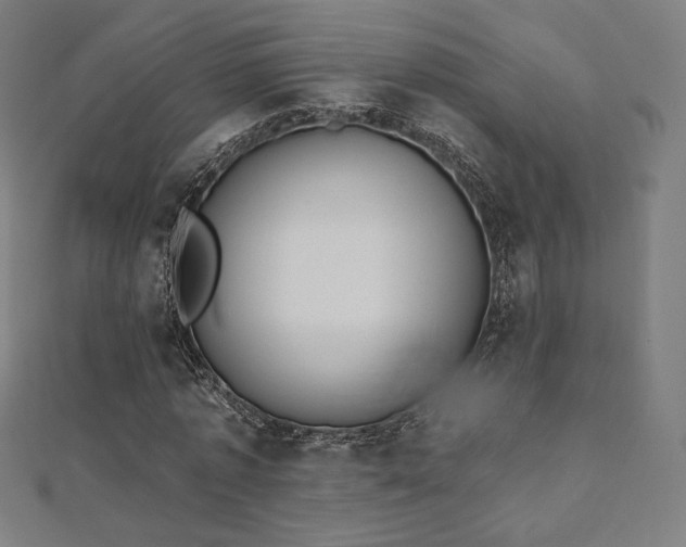 X0000112500773200908171308