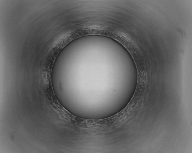 X0000112500774200908171308