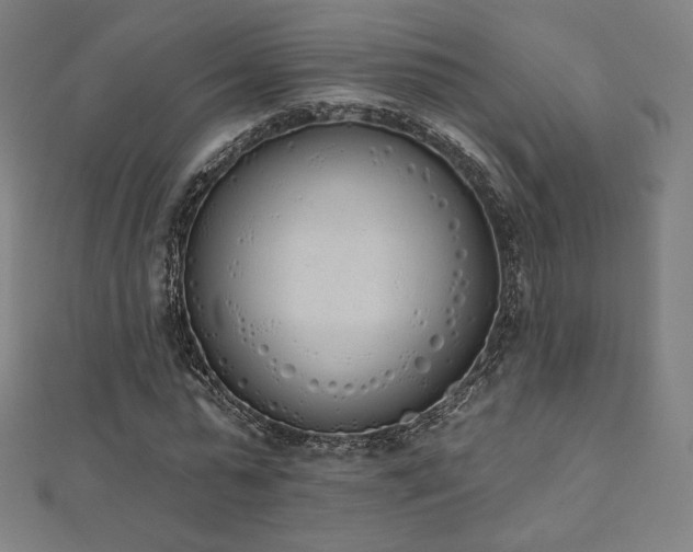 X0000112500775200908171308