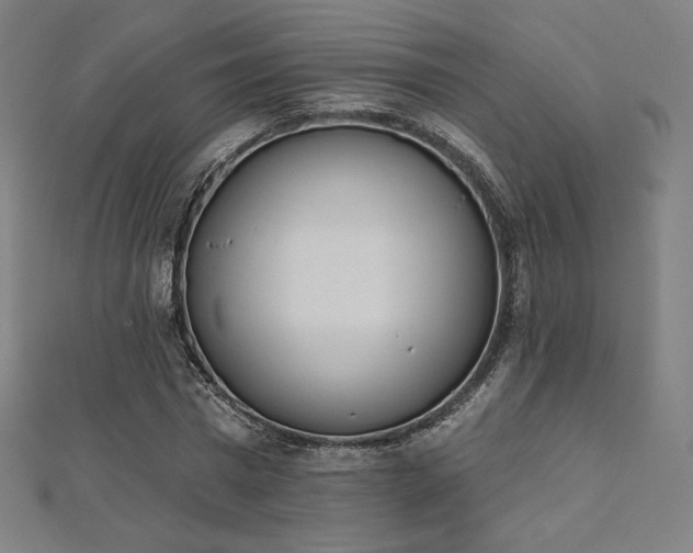 X0000112500777200908171308