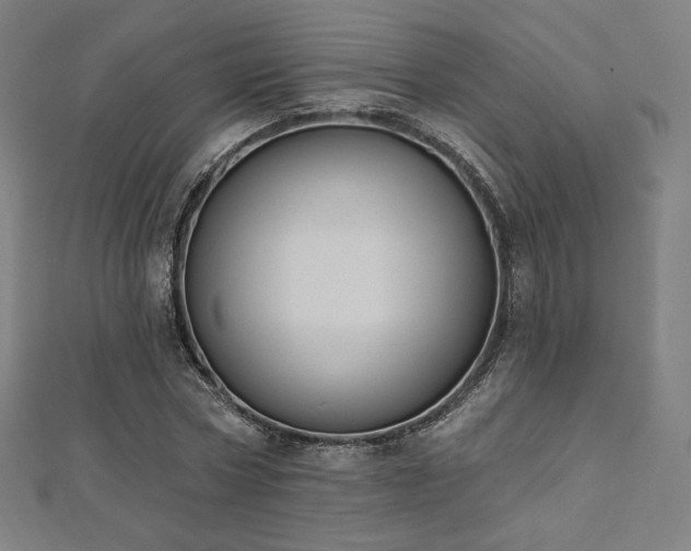 X0000112500778200908171308