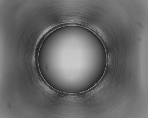 X0000112500780200908171308