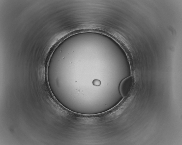 X0000112500781200908171308