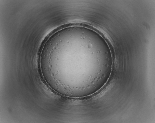 X0000112500783200908171308