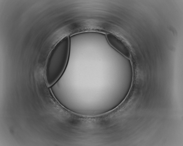 X0000112500785200908171308