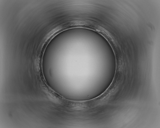 X0000112500786200908171308