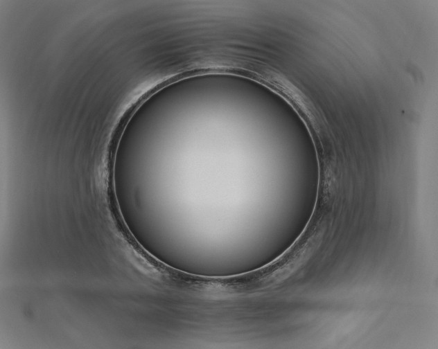 X0000112500787200908171308