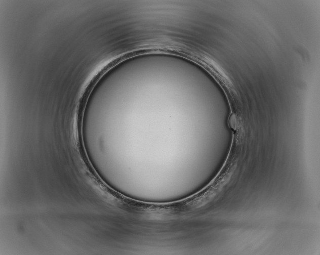 X0000112500788200908171308