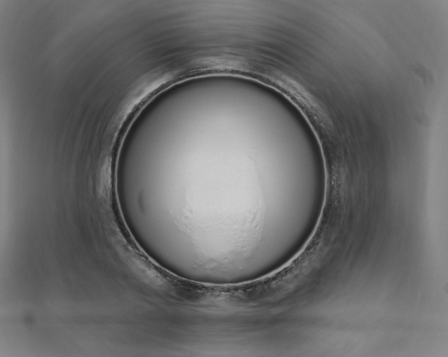 X0000112500790200908171308