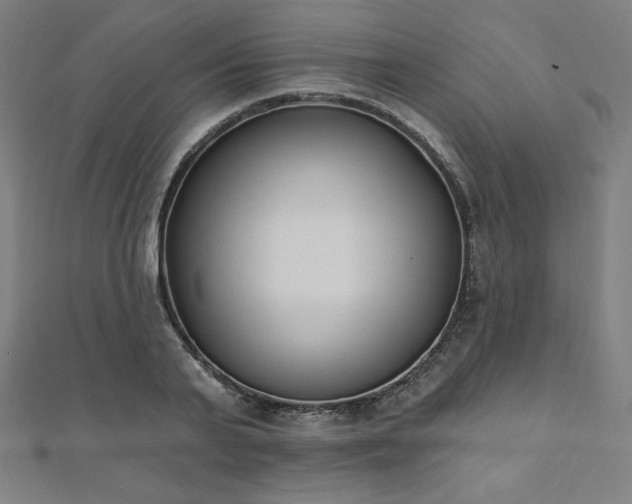 X0000112500791200908171308