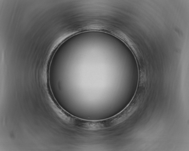 X0000112500795200908171308