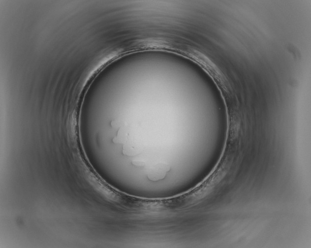 X0000112500798200908171308