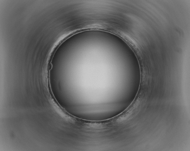 X0000112500800200908171308