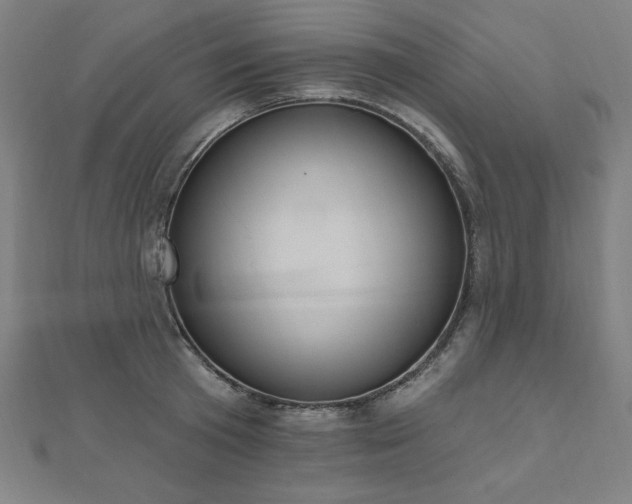 X0000112500801200908171308