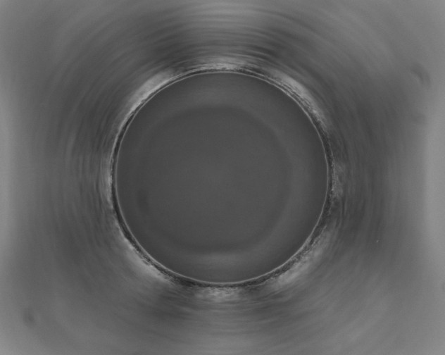 X0000112500802200908171308