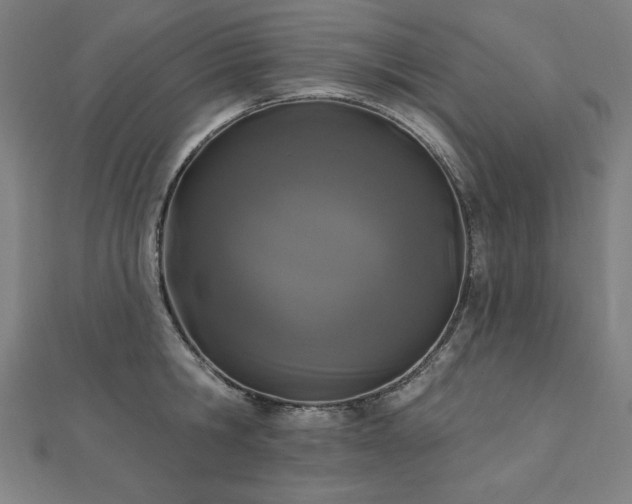 X0000112500806200908171308