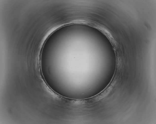 X0000112500808200908171308