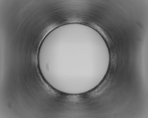 X0000112500810200908171308