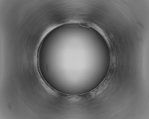 X0000112500811200908171308