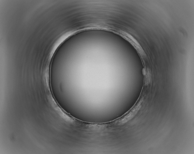 X0000112500812200908171308