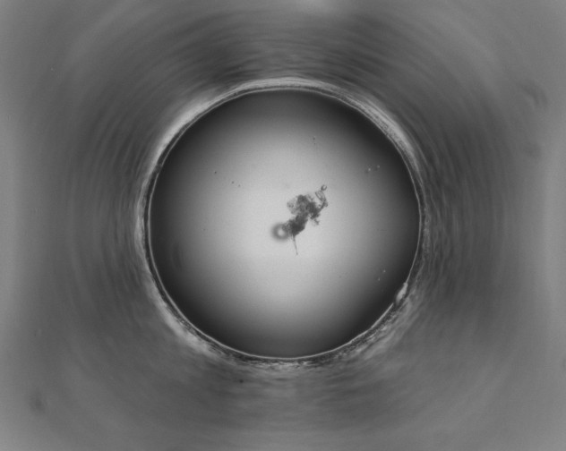 X0000112500813200908171308