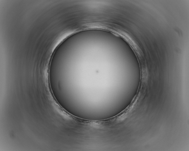 X0000112500814200908171308