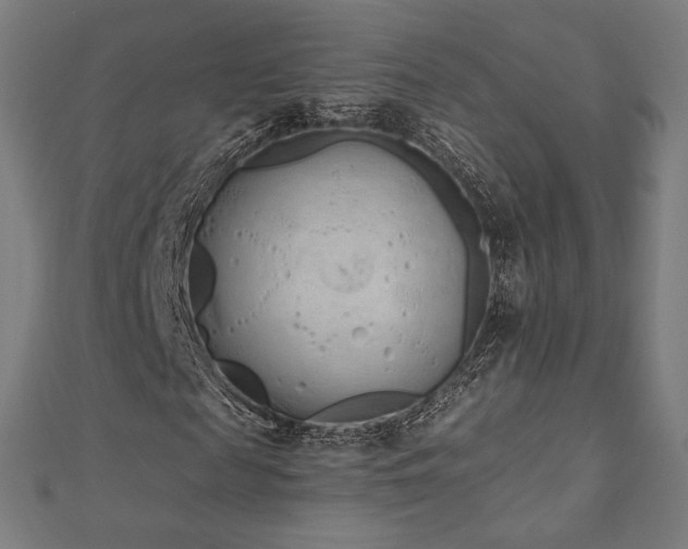 X0000112500817200908171307