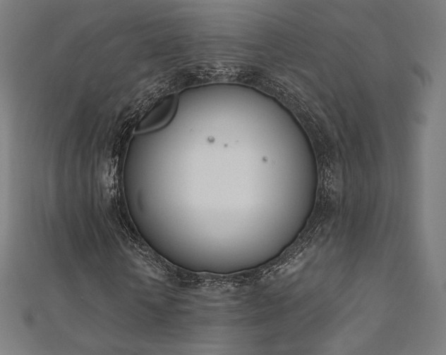 X0000112500818200908171307