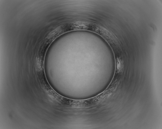 X0000112500819200908171307