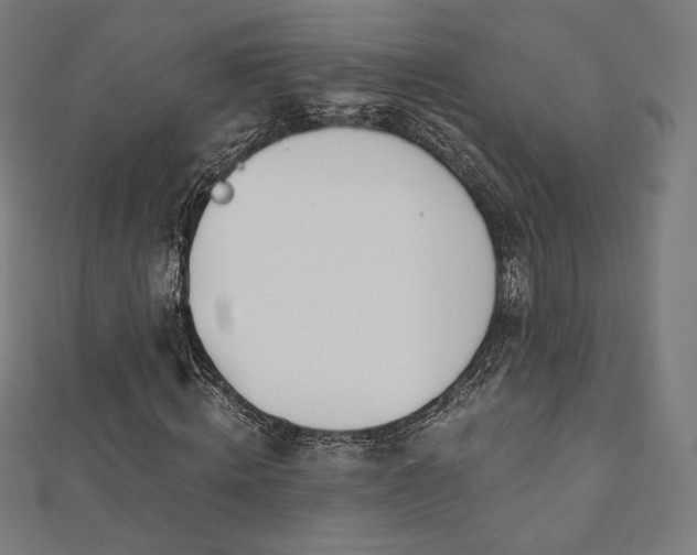 X0000112500820200908171307