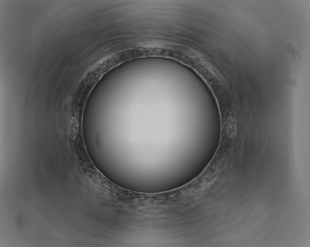 X0000112500821200908171307