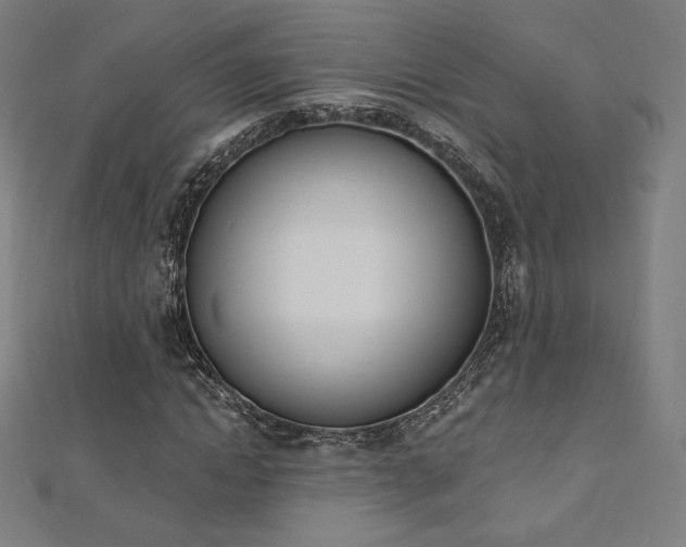 X0000112500822200908171307